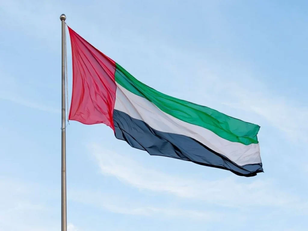 الإمارات.. وزارة المالية تصدر قراراً بشأن متطلبات تقديم إقرار معلومات الركيزة الثانية