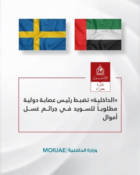 الداخلية تضبط رئيس عصابة دولية مطلوباً للسويد في جرائم غسل أموال
